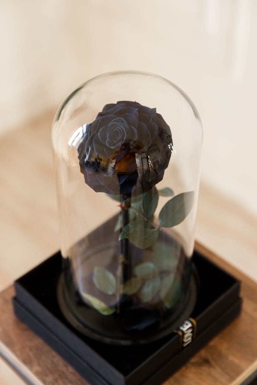Forever rose black
